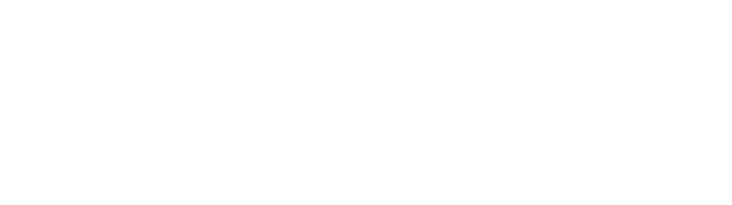 logo baldan
